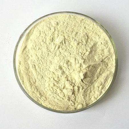 6-4-Methylpiperazin-1-yl-4-2-methylphenylnicotinamide-CAS-342417-01-0.jpg