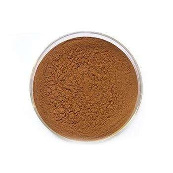 Reishi Mushroom Extract