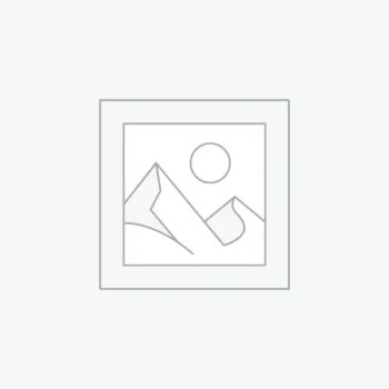 Petrochemical Industry